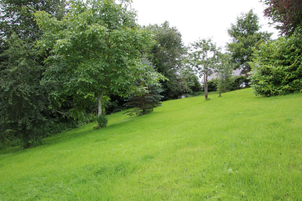 Ferienhaus Eifelnest Scheid  Extérieur photo